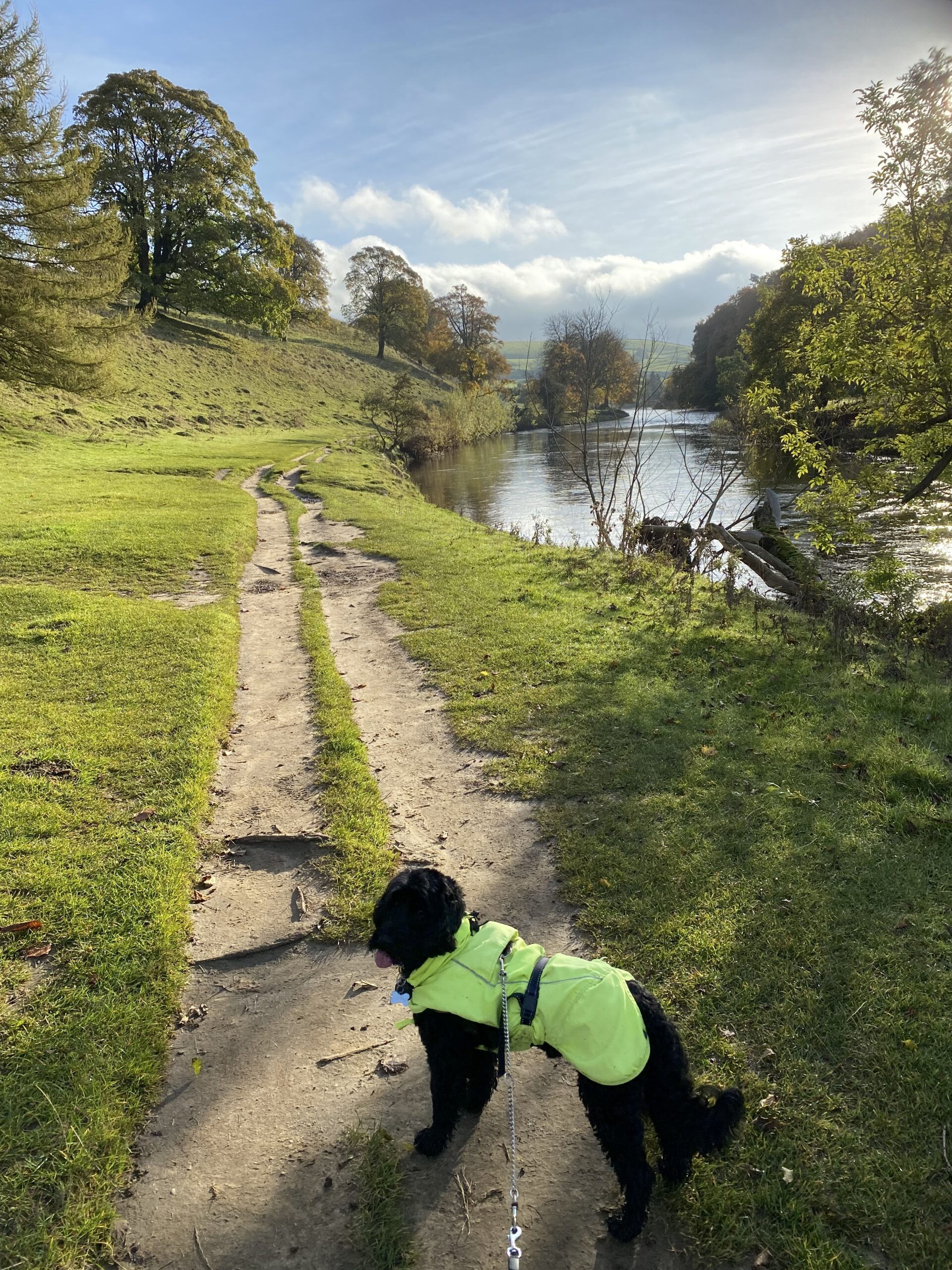 Keydales The beauty of the Yorkshire Dales – sankeynextchapter