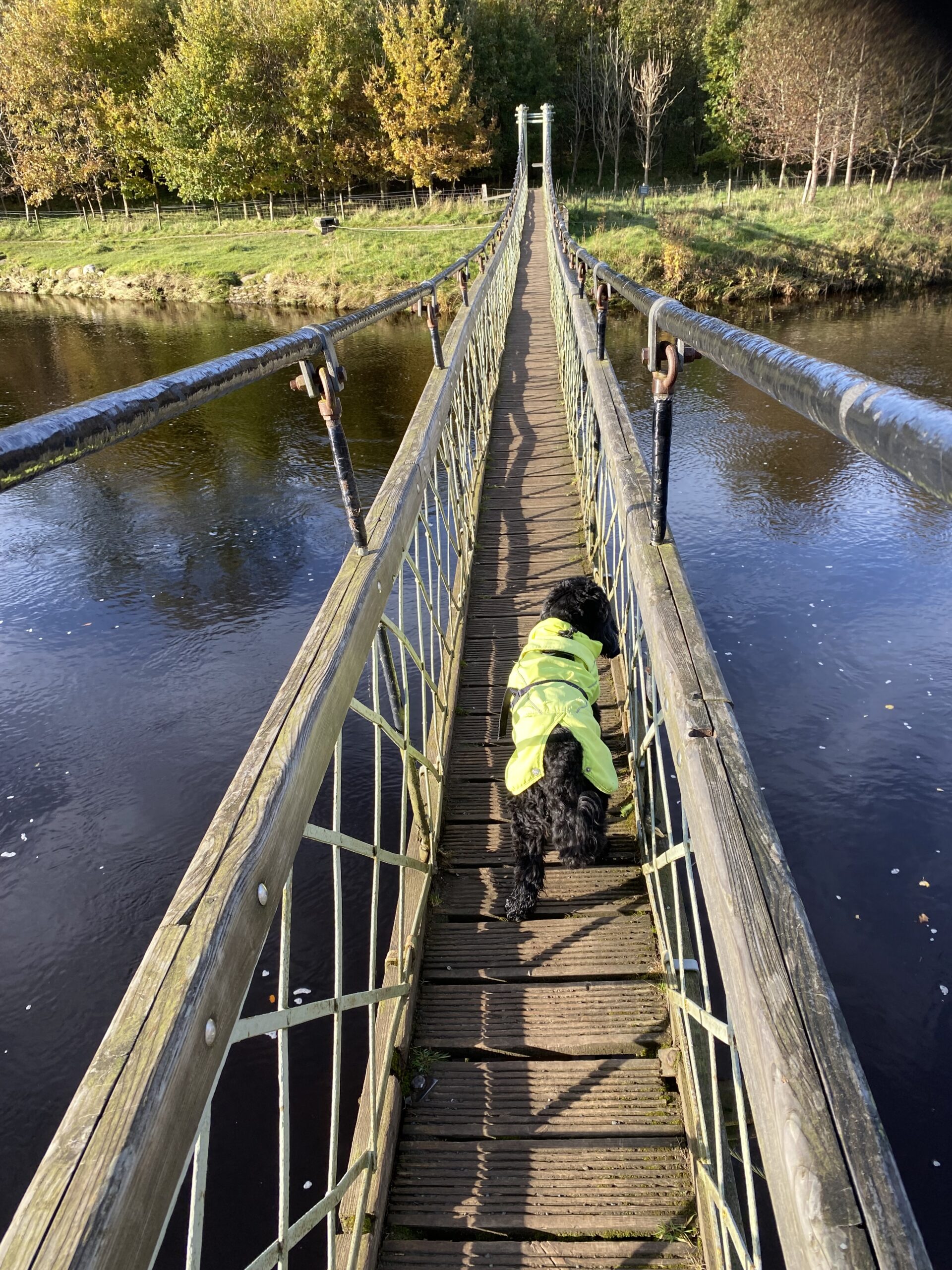 Keydales The beauty of the Yorkshire Dales – sankeynextchapter